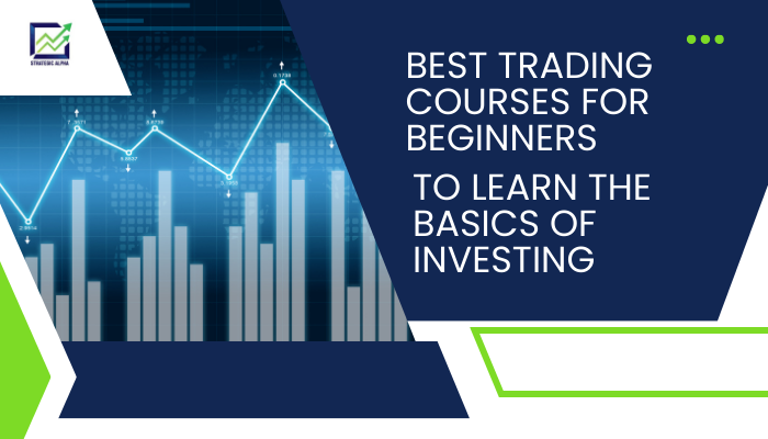 Best Trading Courses for Beginners to Learn the Basics of Investing