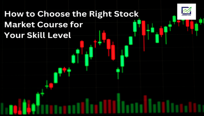 How to Choose the Right Stock Market Course for Your Skill Level