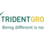 Trident Ltd-A Safe & High Potential Multibagger (CMP64.75)